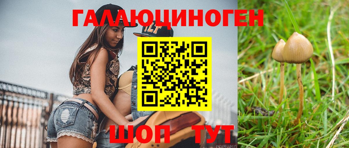 Галлюциногенные грибы GOLDEN TEACHER Сальск